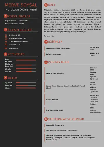 Yabancı Dil Öğretmeni Cv Örnekleri cv indir